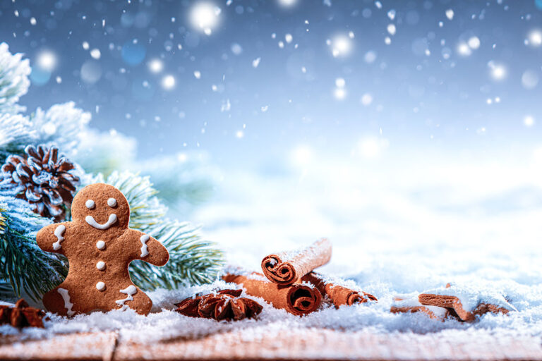 Ihre REO AG wünscht Ihnen ein frohes Fest und einen guten Rutsch ins neue Jahr!